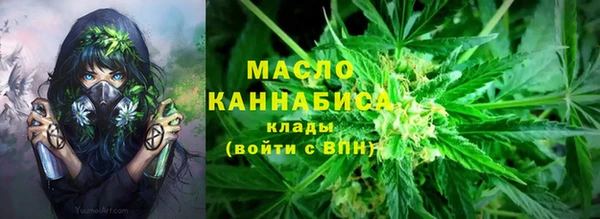 PSILOCYBIN Бородино